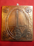 Placheta bronz pe lemn - Alba Iulia , dim.= 10,3 x 11 cm