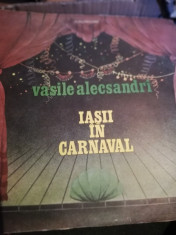 Vinil - Iasii in carnaval foto