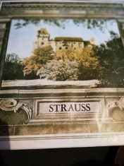 Vinil - Strauss foto