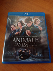 Animale Fantastice si unde le poti gasi Blu-ray 2016, subtitrat in limba romana foto