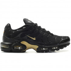 Pantofi sport barbati Nike Air Max Plus TN 852630-022 foto