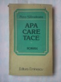 (C384) PETRE SALCUDEANU - APA CARE TACE