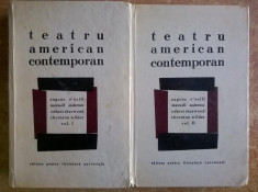 Teatru american contemporan {2 volume} foto