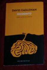 David Eagleman - Incognito. Vie?ile secrete ale creierului foto