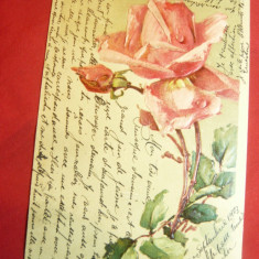 Ilustrata- Felicitare- Trandafir - circulat 1903 cu 5 bani Spic de Grau ,Piatra