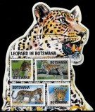 BOTSWANA 2017 LEOPARD, Nestampilat