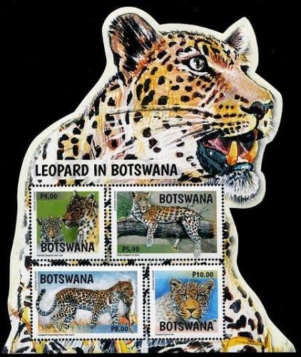 BOTSWANA 2017 LEOPARD