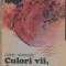 Culori vii, forme frumoase...