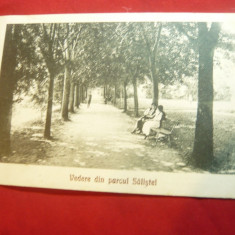 Ilustrata- Saliste- Parcul ,circulat 1929 Ed. Dadarlat