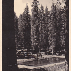 STANA DE VALE JUD.BIHOR,1938 PASTRAVARIA,ROMANIA.