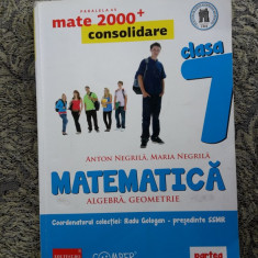 MATEMATICA ALGEBRA GEOMETRIE CLASA A VII A PARTEA 1 - NEGRILA .