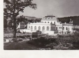 Bnk cp Vatra Dornei - Vedere din parc - circulata, Printata