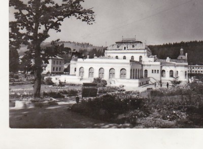 bnk cp Vatra Dornei - Vedere din parc - circulata foto