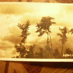 Fotografie - Carte Postala -Peisaj Natura - marca Agfa-Lupex cca. 1945
