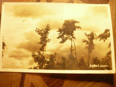 Fotografie - Carte Postala -Peisaj Natura - marca Agfa-Lupex cca. 1945 foto
