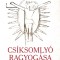 Csiksomlyo ragyogasa