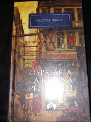 OSPATARIA LA REGINA PEDAUQUE - ANATOLE FRANCE foto