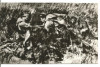 (A)carte postala(ilustrata)-N.GRIGORESU-Atacul de la Smardan-schita, Necirculata, Printata