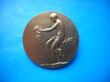 HOPCT INSIGNA BELGIA ORGANIZATIA FEMEI SOCIALISTE BRABANT 1921-1971 D= 28 MM [2]