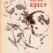 Cine ești ?