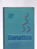 GENETICA, 1978