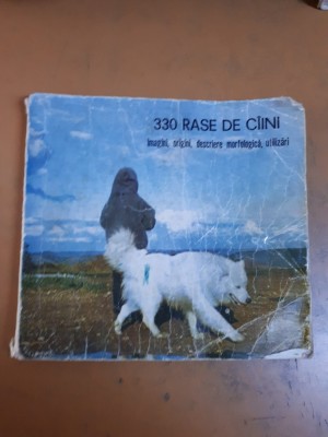 330 rase de c&amp;icirc;ini. Imagini, origini, descriere morfologică, utilizări 052 foto