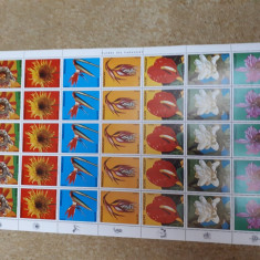 Flora,flori paraguay 1973 coală timbre nestampilate mnh
