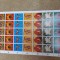 Flora,flori paraguay 1973 coală timbre nestampilate mnh