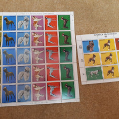 Câini paraguay 1986 mnh coală plus bloc timbre