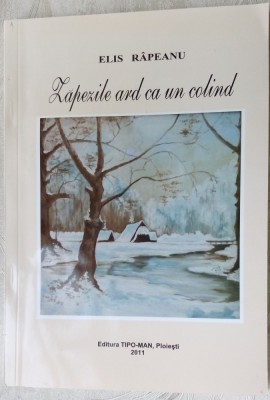 ELIS RAPEANU: ZAPEZILE ARD CA UN COLIND (POEZII 2011)[desene BRANESCU/TIHON/GER) foto