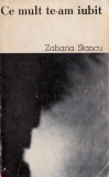 Ce mult te-am iubit, Zaharia Stancu
