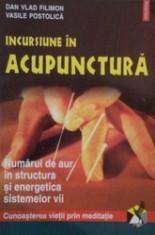 Incursiune in acupunctura - Dan Vlad Filimon, Vasile Postolica foto