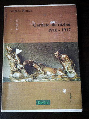 Carnetele de razboi 1916 - 1917 ale lui Grigore Romalo, DaCor, 187 pag foto