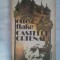 (C385) OTTO FLAKE - CASTELUL ORTENAU