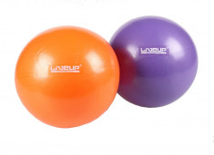 Overball LS3225 Minge gimanstica violet 20 cm foto