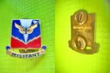 9686-Insigna Militant militara USA IRA Green Inc. G23 metal emailat aurit.