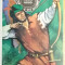 RWX 25 - ROBIN HOOD - ALEXANDRE DUMAS - EDITATA IN 1974