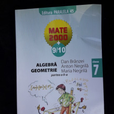 ALGEBRA GEOMETRIE CLASA A VII A PARTEA A II A - NEGRILA BRANZEI