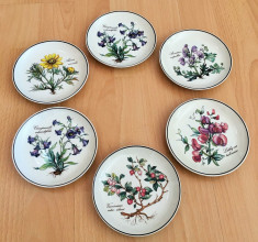 Suport Pahare - Villeroy and Boch - Botanica - 6 persoane foto