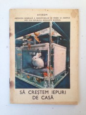 Sa crestem iepuri de casa/Ed. Avirom/ghid practic/1974 foto
