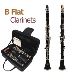 CLARINET PROFESIONAL PT. INCEPATORI SAU AVANSATI CU VALIZA/CASE INCLUS.SIGILAT. foto