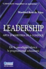 Leadership arta si maiestria de a conduce - Manfred Kets de Vries foto