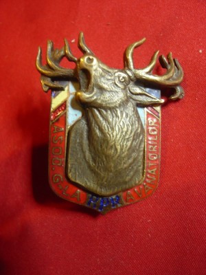 Insigna veche de Vanatoare- Asociatia G-rala a Vanatorilor ,4,4x2,7cm foto