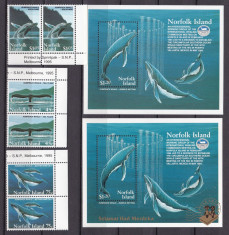 Norfolk 1995 fauna marina MI 581-82 + bl.15 + bl.15I MNH w53 foto