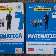 MATEMATICA ALGEBRA GEOMETRIE CLASA A VII A - PARTEA 1 + 2 NEGRILA