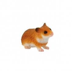 Hamster foto