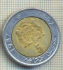 11277 MONEDA - MAROC - 5 DIRHAMS -ANUL 1987 -STAREA CARE SE VEDE, Africa