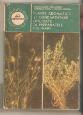 Plante aromatice si condimentare utilizate in preparatele culinare foto