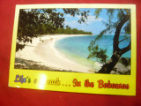 Ilustrata circulata Bahamas ,timbru de 40C - Pasare, Printata