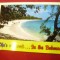 Ilustrata circulata Bahamas ,timbru de 40C - Pasare